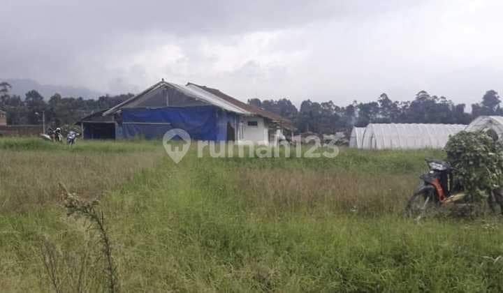 Tanah Sejuk di Ciwidey Pasir jambu Cocok untuk dibuat Villa