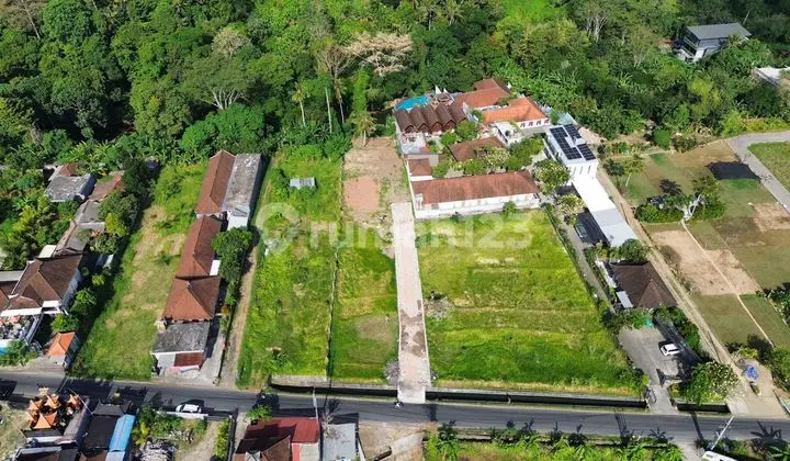 Land for Rent 10are Loss Sungai Di Pantai singi