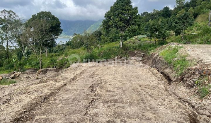 Tanah 300M2 View Gunung dan Danau Kintamani