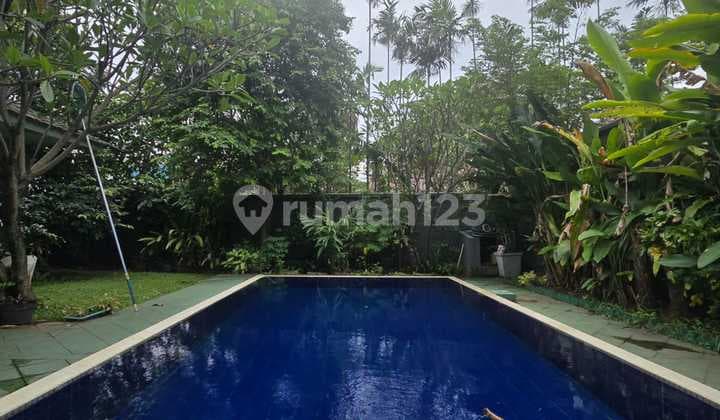 Termurah! Rumah Siap Huni Area Kemang Harga Mendekati NJOP