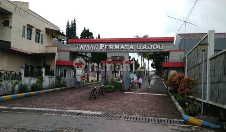 Villa Asri Akses Dari Depan Istana Cipanas Gadog 1