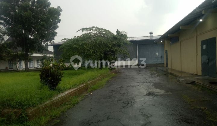 Pabrik briket ireng tempurung dengan mesin2 produksi SHM Bagus