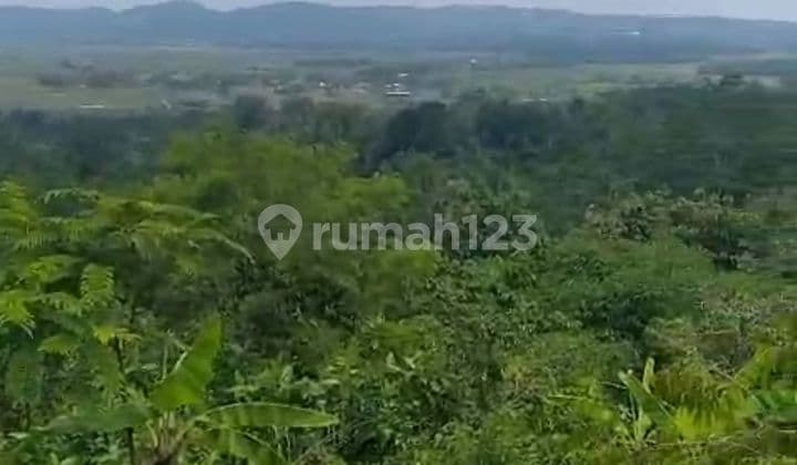Tanah Cocok untuk Wisata di Ambarawa 43000 m² SHM