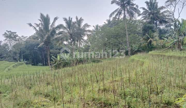 Dijual Tanah Di Gunung Pati Shm 2377.0 M² Bebas Banjir