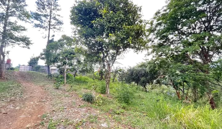 Peluang Emas! Tanah 7800 M² Dekat Summarecon Bogor