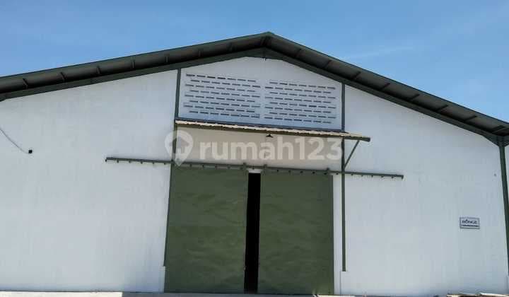 For Rent, Ready-to-Use Warehouse, Strategic Location, Tambak Langon Surabaya BRT.