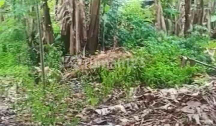 Raya Ciledug Kreo Plot Land.