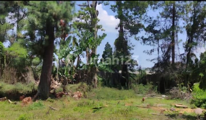 Lahan Strategis Buat Restoran di Kawasan Wisata Lembang Murah