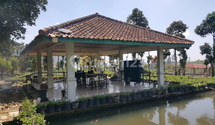 Rumah Antik Di Ciwidey Cocok Untuk Villa Atau Disewakan Kembali