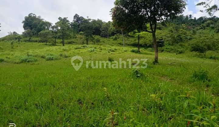 Jual Tanah Kebun Luas Murah di Bogor Jonggol Dekat Cirau