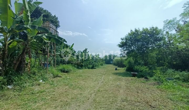 Tanah Kavling Siap Bangun di Gajah Mekar Kutawaringin Bandung