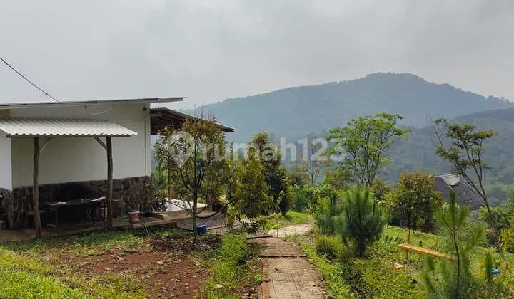 Land Area + Durian Orchard in Cijambe, Subang City