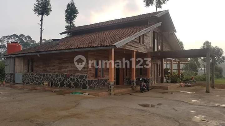 Villa plus kebun lemon california di pangalengan