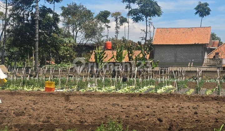 Jual Kavling Murah di Maribaya Cibodas Mainroad Lembang Bandung