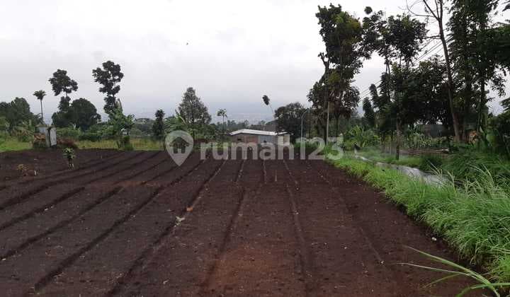 Jual TANAH KEBUN Siap Bangun Dekat Gerai Susu Cipageran Cimahi