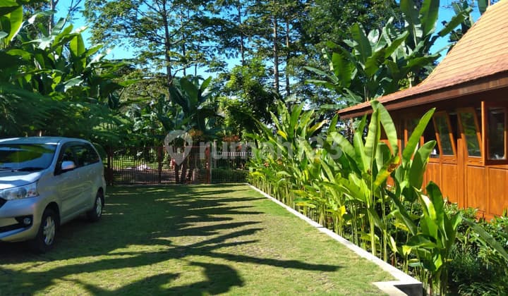 Dijual Spa Villa Payangan Dekat Ubud Bali