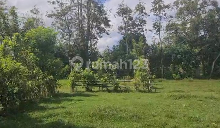 Cheap Land Near Melasti Beach Ungasan Bali