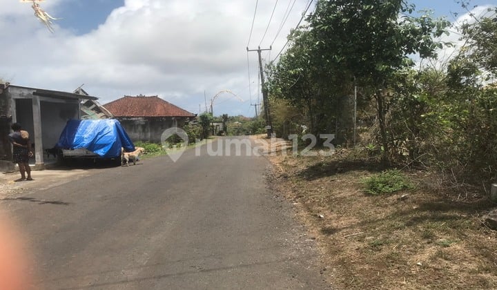 Dijual Lahan Murah Ungasan Jimbaran Bali