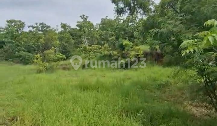 Dijual Lahan untuk Investasi di Tejakula Buleleng Bali