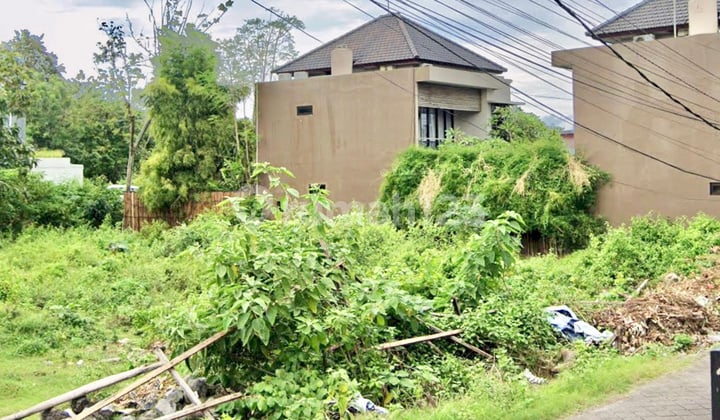 For Sale: Global Land for Guest House in Nusa Dua, Bali
