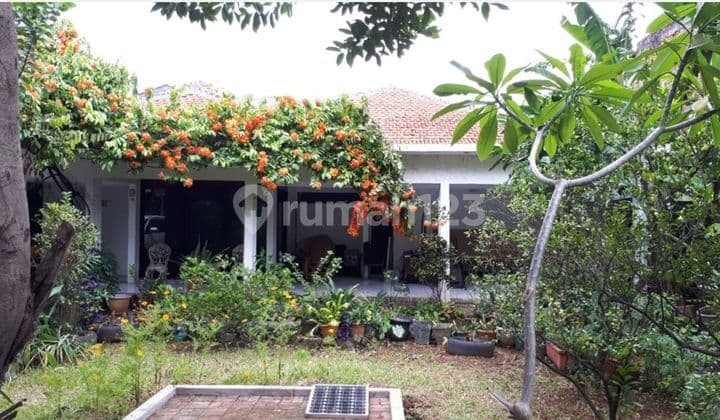 Rumah Lokasi Bebas Banjir di Kemang Jakarta Selatan