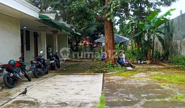 Disewakan Rumah Perlu Direnovasi Kondisi Apa Adanya dengan Halaman Sangat Luas Kawasan Psr Minggu Jak-Sel