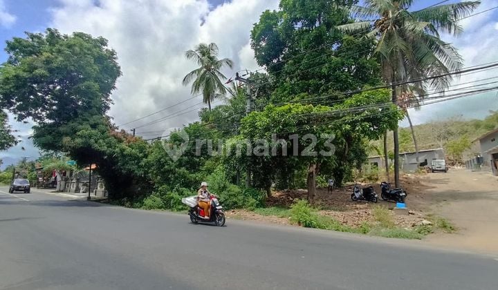 Pa146 Dijual Cepat Tanah Pinggir Jalan Raya di Pacung Buleleng