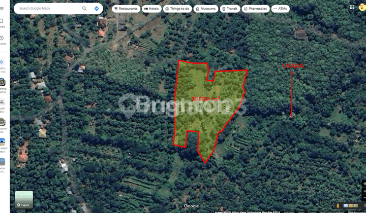 Pa50 Tanah Kebun Luas 103 Are Murah Daerah Kubutambahan