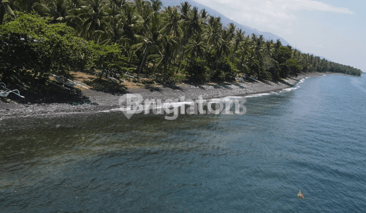 Tanah Premium Pinggir Jalan Raya dan Pinggir Pantai di Buleleng