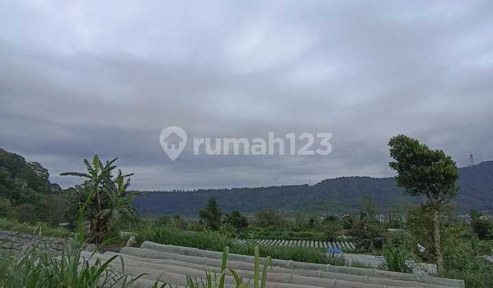 Pa164 Dijual Tanah Kebun View Danau Buyan di Pancasari Bedugul