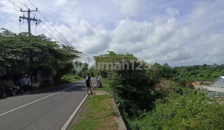 Pa100 Dijual Tanah Murah Pinggir Jalan di Kubutambahan, Buleleng