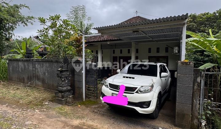 Pa162 Dijual Rumah 1 Lantai Siap Huni di Singaraja Buleleng