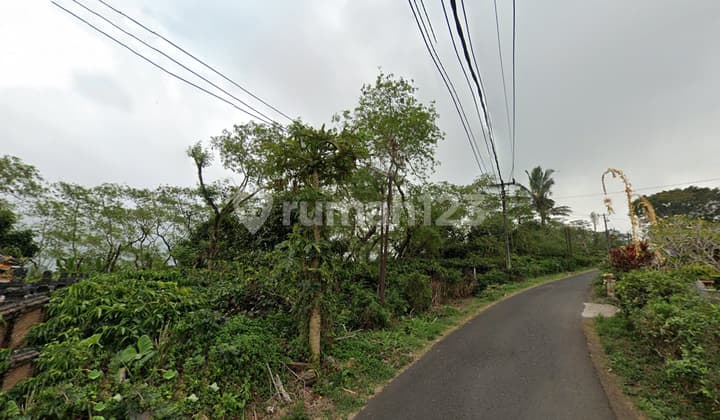 Pa128 Dijual Tanah Kebun Kopi Produktif di Pucaksari Buleleng