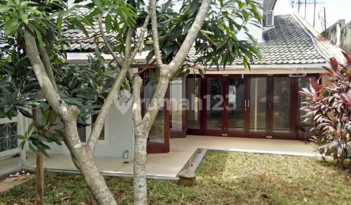 Rumah Luas di Bintaro Sektor 9. Best Deal!