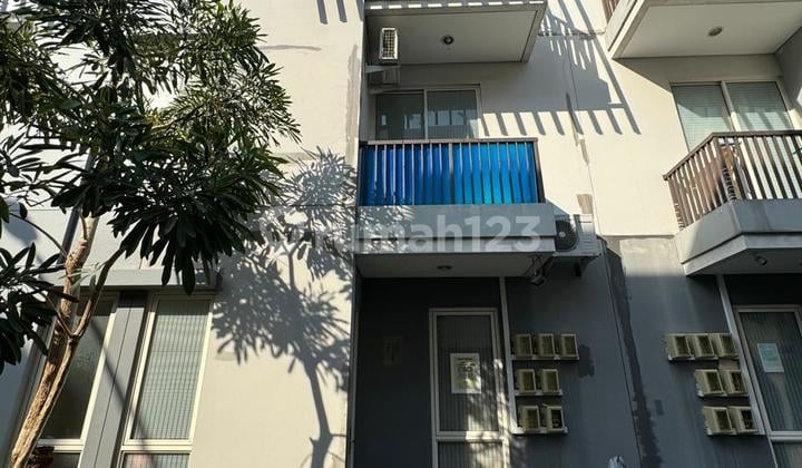Dijual Kost The Kost Mozia BSD Fully Operated, Income Jalan!