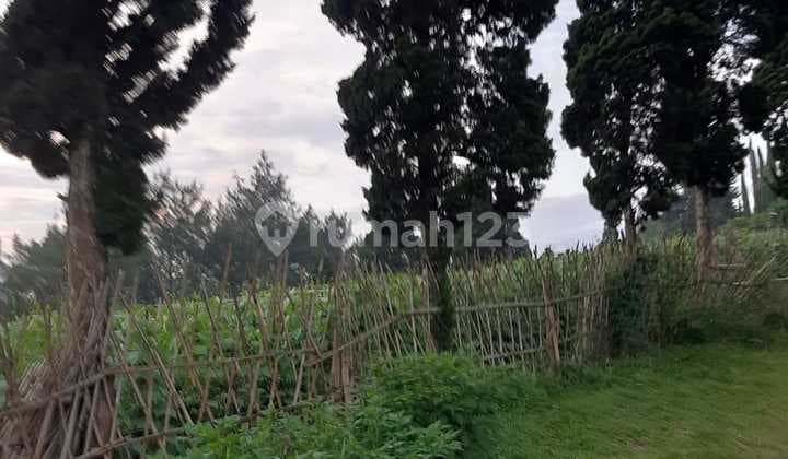 Extensive Land Suitable for Tourist Destination in Maribaya, Lembang