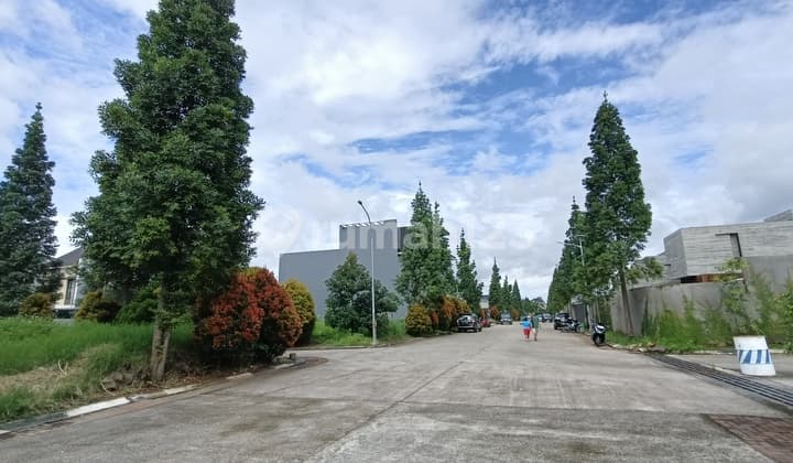 Exclusive Plot Setraduta Grande Hook