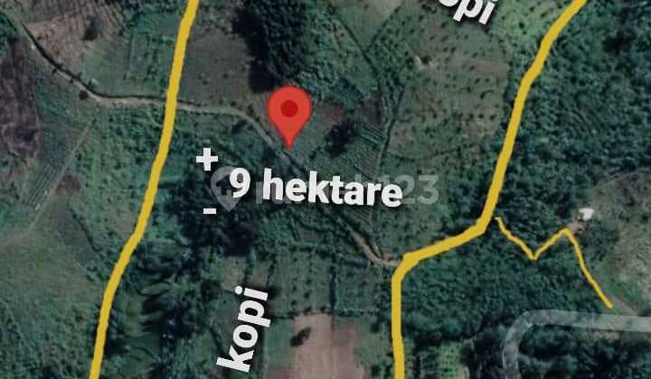 Tanah Kebun Kopi di Desa Bencoy , Cirenghas Sukabumi, 88.000 m²