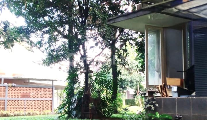 Rumah Dibawah Harga Pasar di Cluster Dalam Nusa Loka BSD, Sebelah Taman