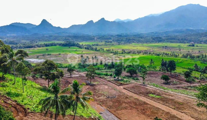 Tanah Kavling Murah View Sawah Dan Pegunungan Bogor