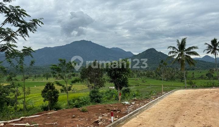 Tanah Kavling Villa 200 Meter Akses Langsung Jalan Raya