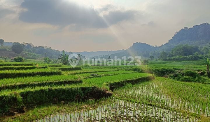 Kavling Sawah Nempel Sungai Akses Masuk Mobil