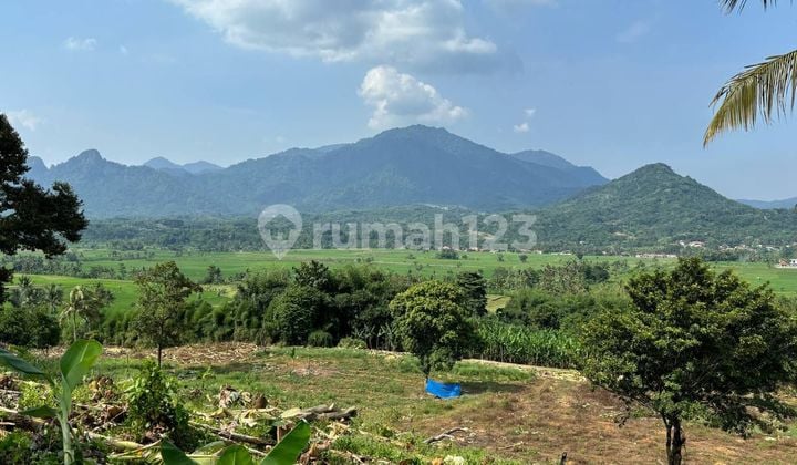 Kavling Villa Nempel Jalan Raya di Jalan Raya Transyogi Bogor