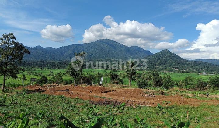 Tanah Murah Akses Langsung Jalan Raya Transyogi Bogor