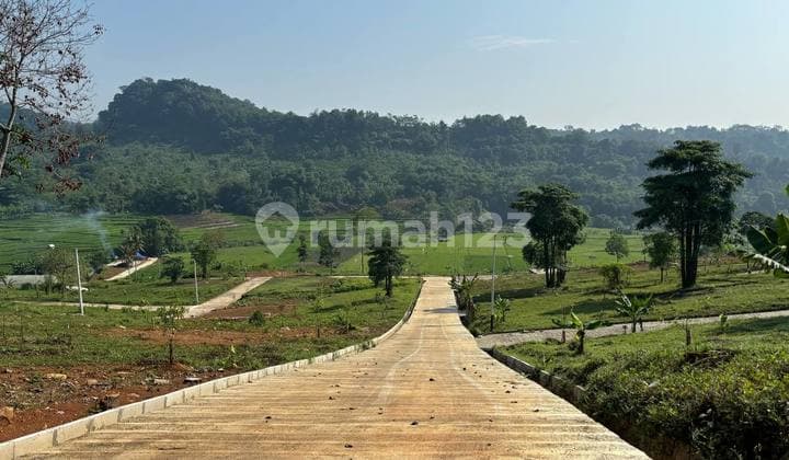 Tanah Murah di Kawasan Wisata Bogor Luas 200 Meter