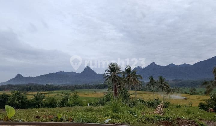 Tanah MURAH Akses Langsung Jala Raya Provinsi Di Bogor