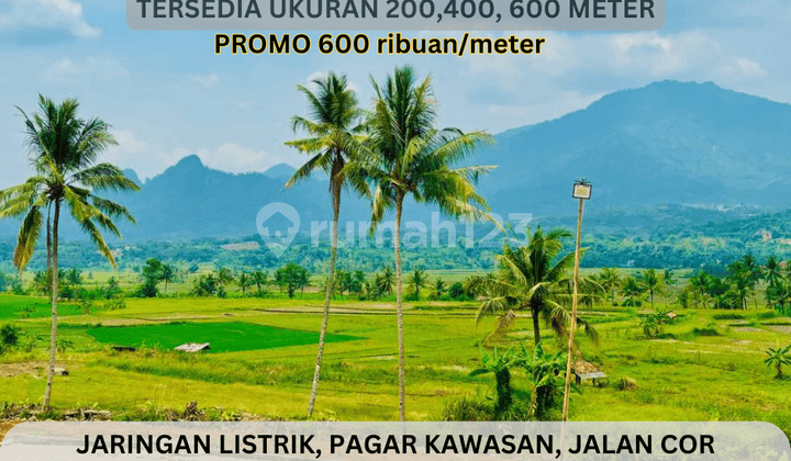 Tanah Murah Akses Langsung Jalan Raya Transyogi, Bogor