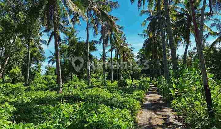 LAND FOR SALE IN SUNSET AREA GP0319
