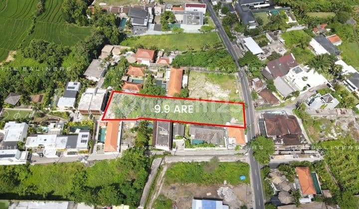 Strategic Main Road Freehold Land In Tumbak Bayuh, Canggu