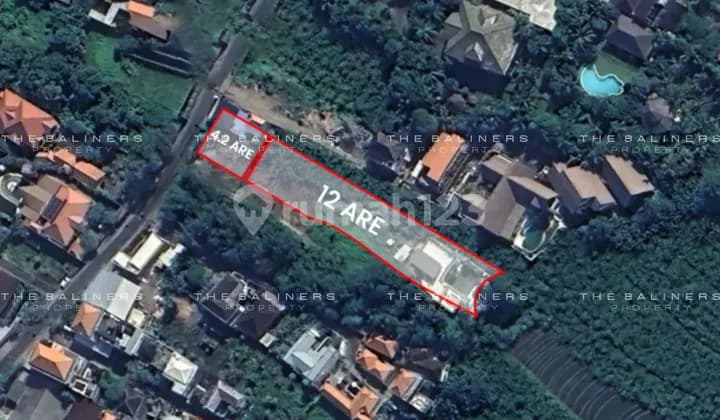 Exclusive Commercial Freehold Land In Pererenan Area - High Development Potential